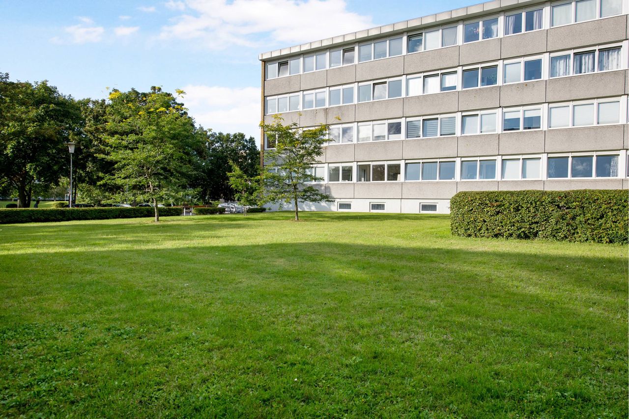 image 02