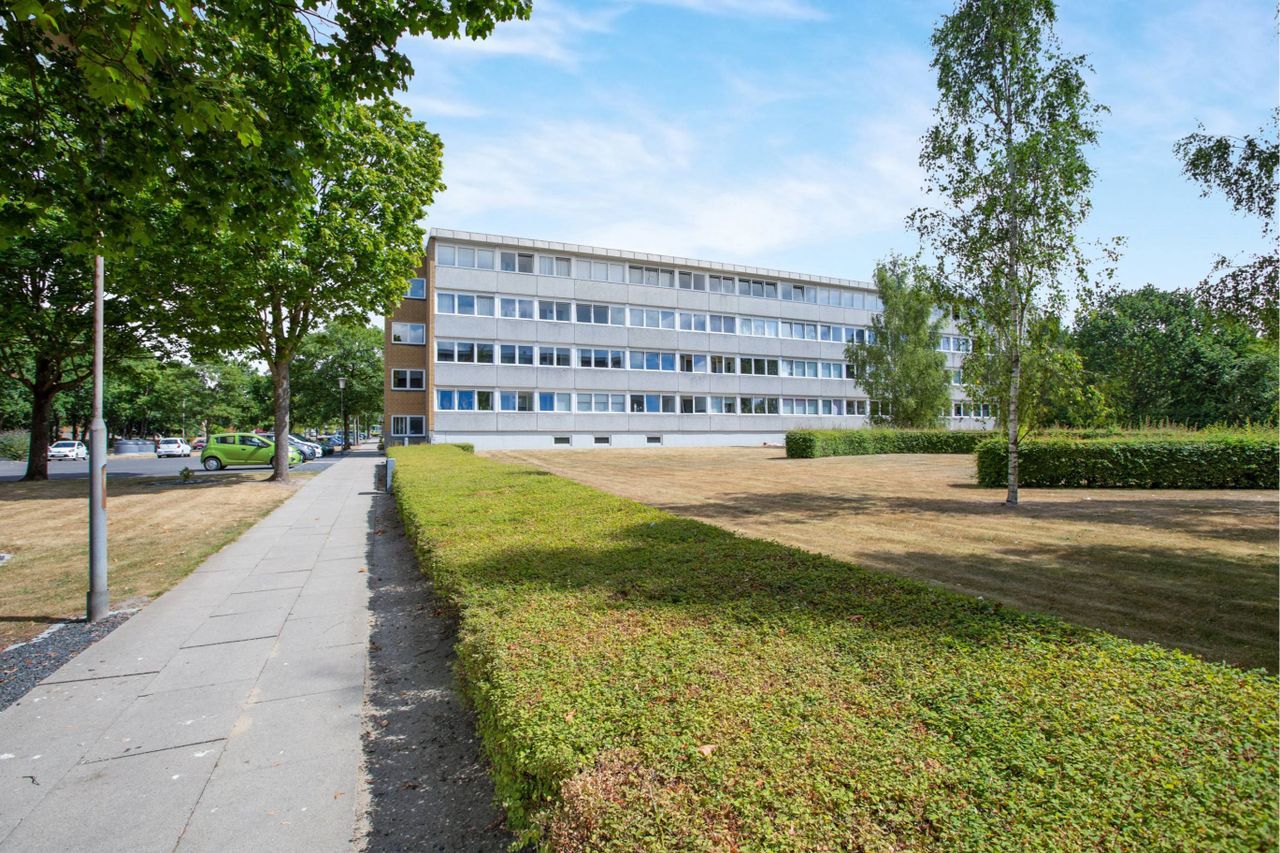 image 01